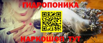 стафф Бугуруслан