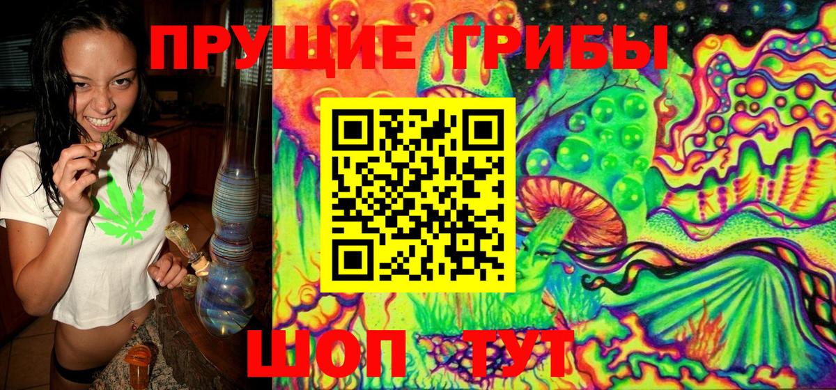 Галлюциногенные грибы Psilocybe Сергиев Посад